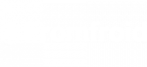 FROMFROID logo blc