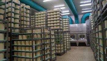 Cheese Process Air Treatment rie