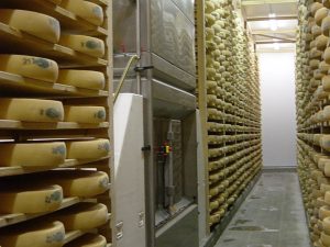 Tratamento de ar climatização queijo