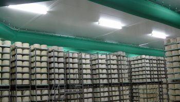 Cheese Process Air Treatment