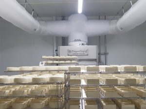 tratamento de ar climatização queijo