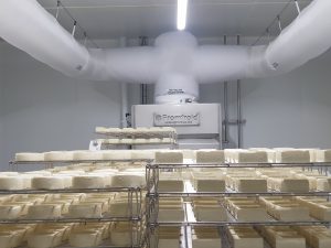 Cheese Dairy Process Air Handling