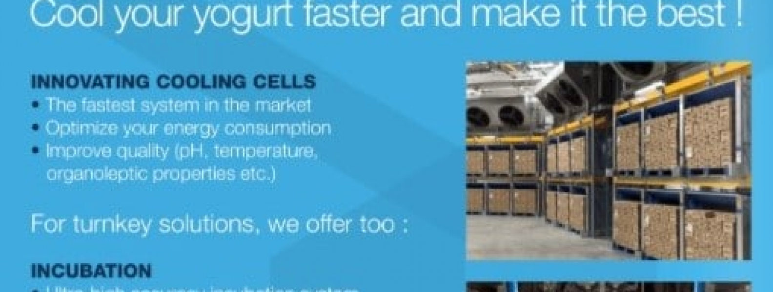 Best quality yogurt Dairy Industries International - Fromfroid