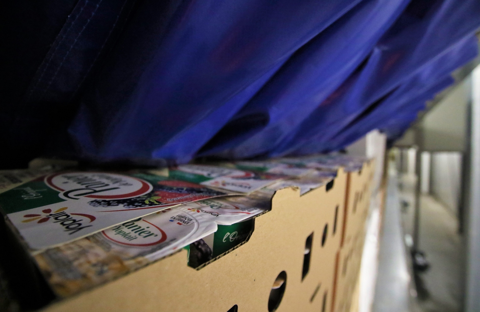 Enfriamiento rápido de pallets yogur quesos postres - Fromfroid