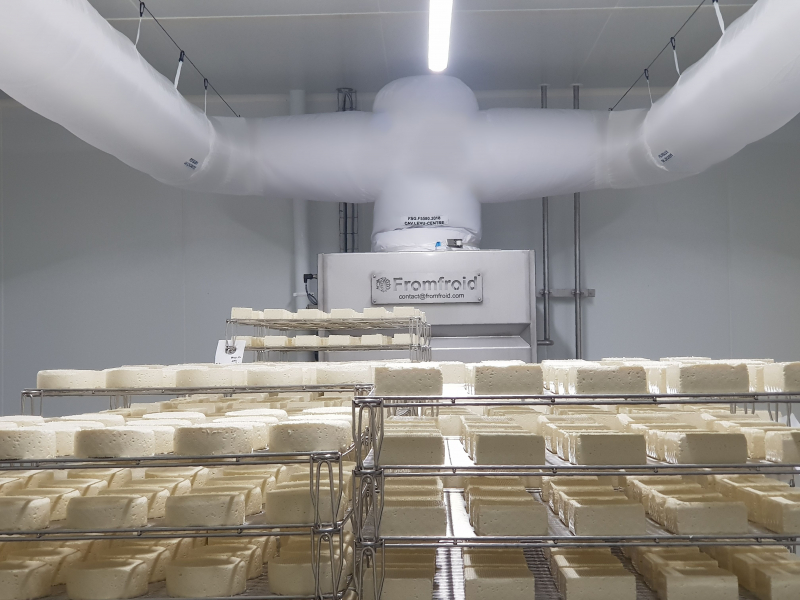 tecnología, innovación, enfriamiento rápido yogur, queso - Fromfroid