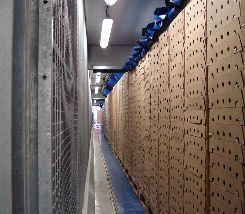 Pallet fast cooling tunnels desserts, yoghurt and fresh cheese - Fromfroid